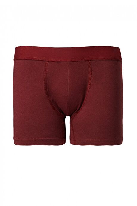 3-Piece Cotton Stretchy Standard Fit Burgundy-Navy Boxers 4A03212P3007BRL