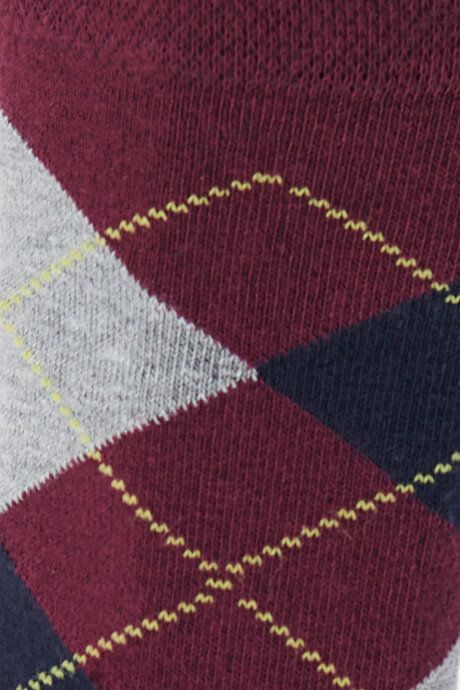 Patterned Socket Burgundy-Navy Socks 4A2523100020BRL