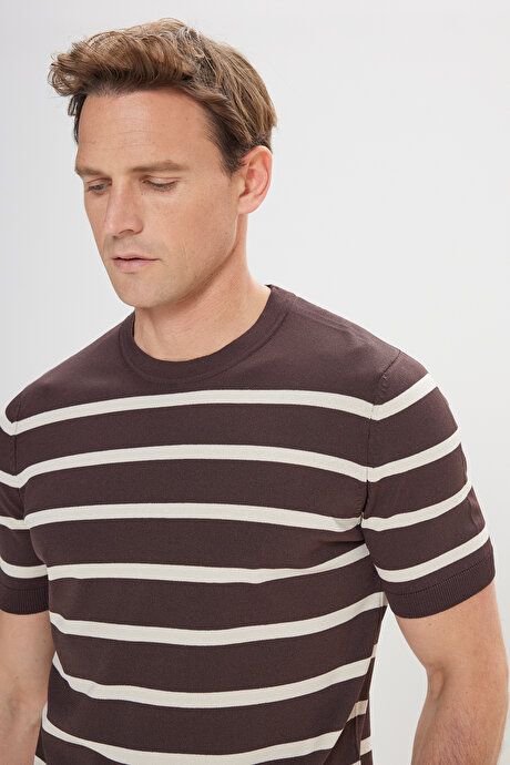 Standard Fit Regular Fit Crew Neck Striped Coffee-Ecru Sweater T-Shirt 4C4924200008KER