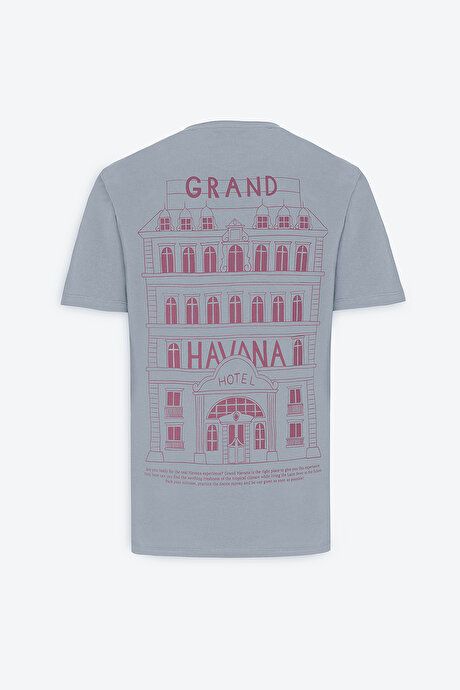 Standard Fit Regular Fit 100% Cotton Printed Crew Neck Gray T-Shirt ET4824200063GRI