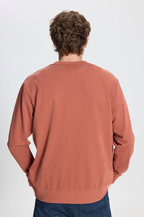 Standard Fit Regular Fit Crew Neck Cotton Light Brown Sweatshirt ET5200000000001AKH