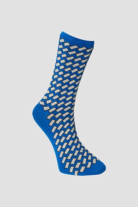 Patterned Single Blue-Beige Socks 4A2522100037MBJ